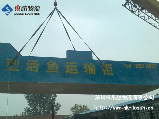 物流活體魚要注意哪些事項(xiàng)？該怎么運(yùn)輸？深圳到香港物流,香港深圳貨運(yùn)運(yùn)輸,深圳香港進(jìn)出口,深港物流專線,中港物流,東勝物流集團(tuán)-大件物流到香港