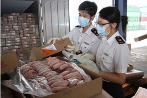 深圳凍肉進(jìn)口報(bào)關(guān)公司；深圳到香港物流-深圳東勝物流
